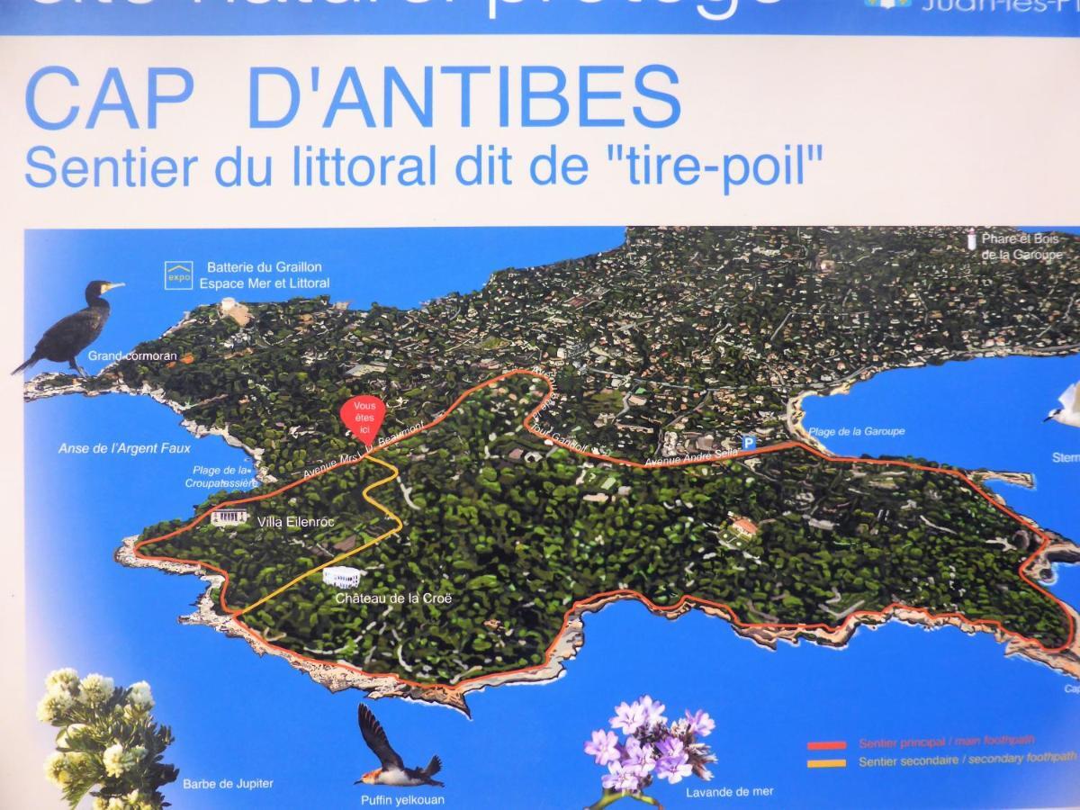 Design Loft Studio Climatise Parking Et Piscine Vallauris Bagian luar foto
